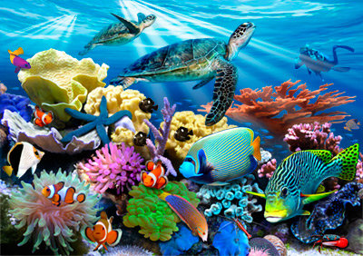 Undersea Reef Mural Full Of Coral Fish And Sea Life