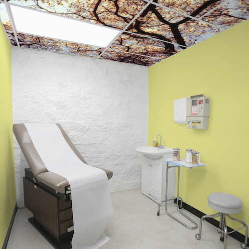 Medical exam room with tree canopy branch ceiling photo mural