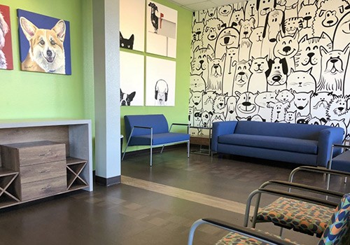 Dog And Cat Doodle Wallpaper in pet care facility