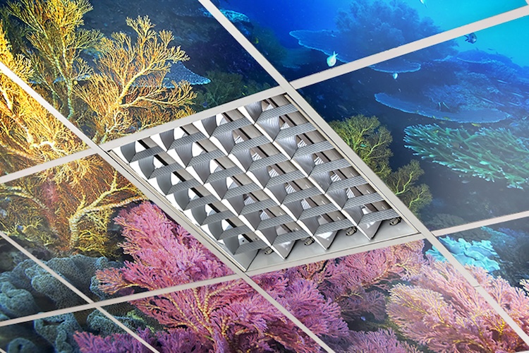 Ocean coral reef photo wallpaper mural on medical office ceiling