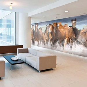 horse mural in reception area