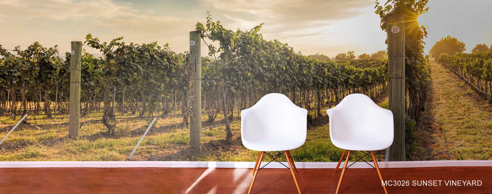 Mural of sunlight streaming through vineyard