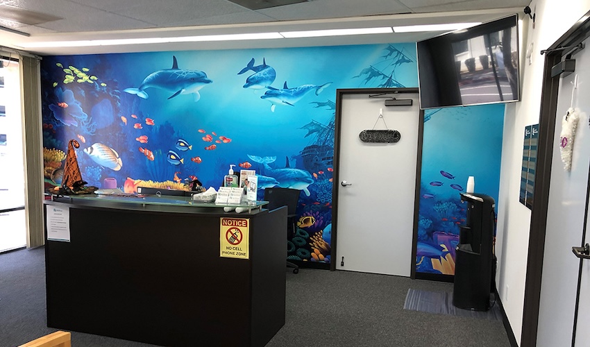 Dolphin shipwreck underwater ocean wall mural in pediatric lobby