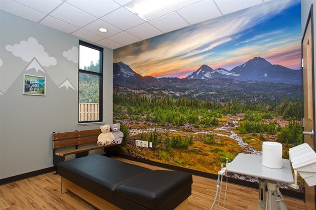 Snow Capped Mountains And Stream Wall Mural In Dental Exam Room