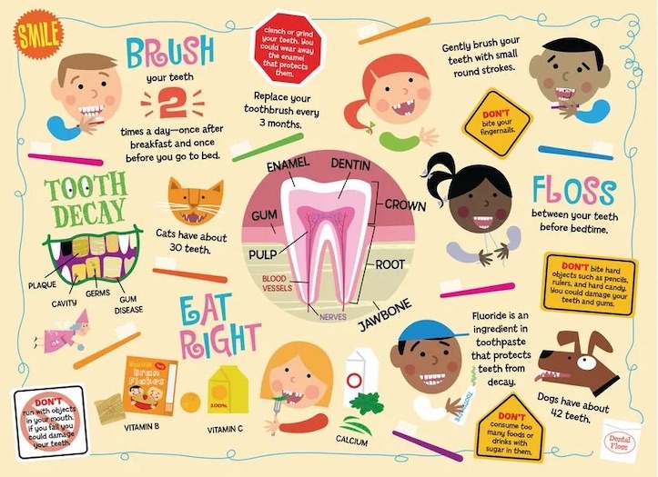 Dos and donts of dental care with cute illustrations