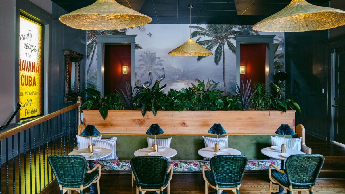 View of jungle mural in restaurant