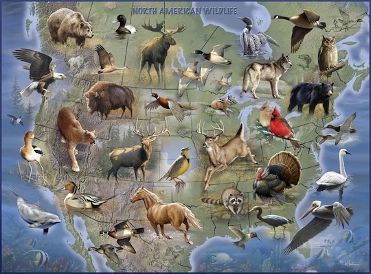 Map of the US with animals representing different states