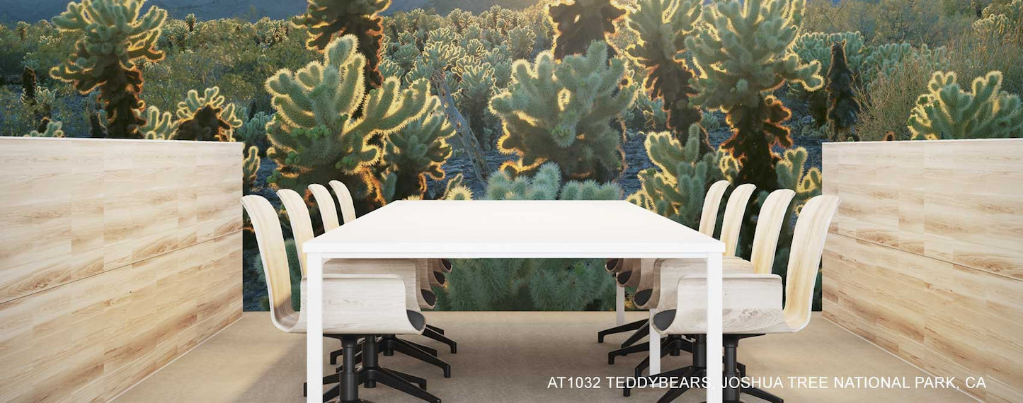 Mural of Joshua Tree desert in California