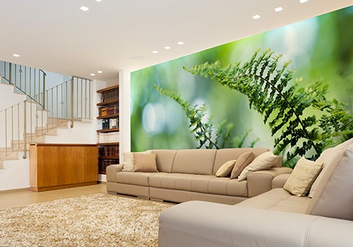 Close-up Of Fern Leaves Wall Mural in family room