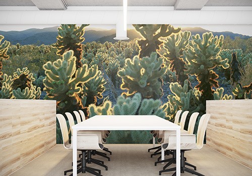 Wall Murals & Mural Wallpaper - Murals Your Way Wall Murals & Mural Wallpaper - Murals Your Way