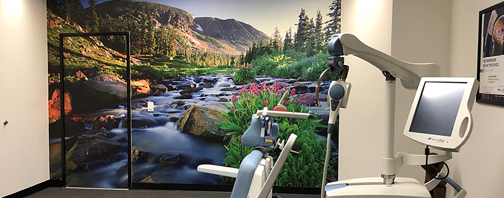 Indian Peaks Wilderness stream landscape mural in medical room