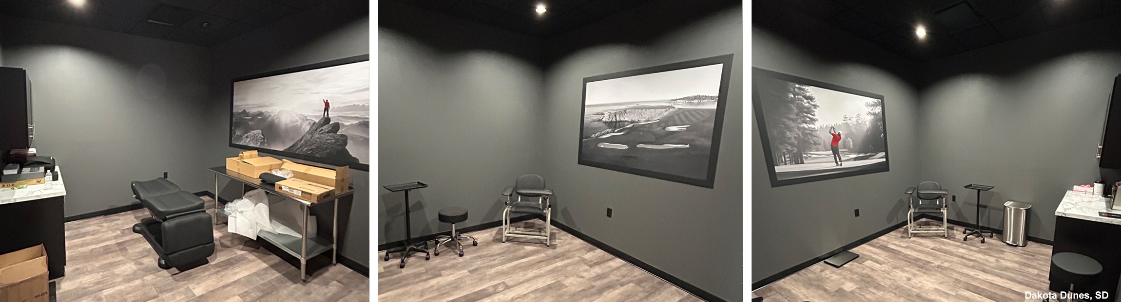 Examples of Framed Wall Murals