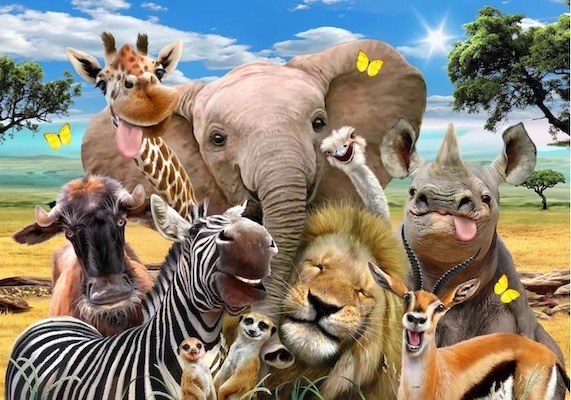 A group of African animals pose for a selfie