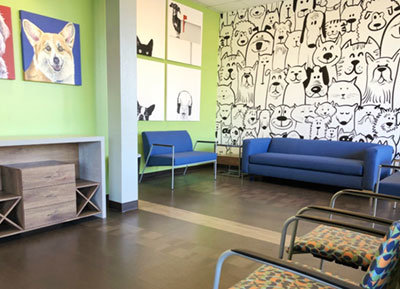 Dog and Cat Doodle Wallpaper in pet care facility